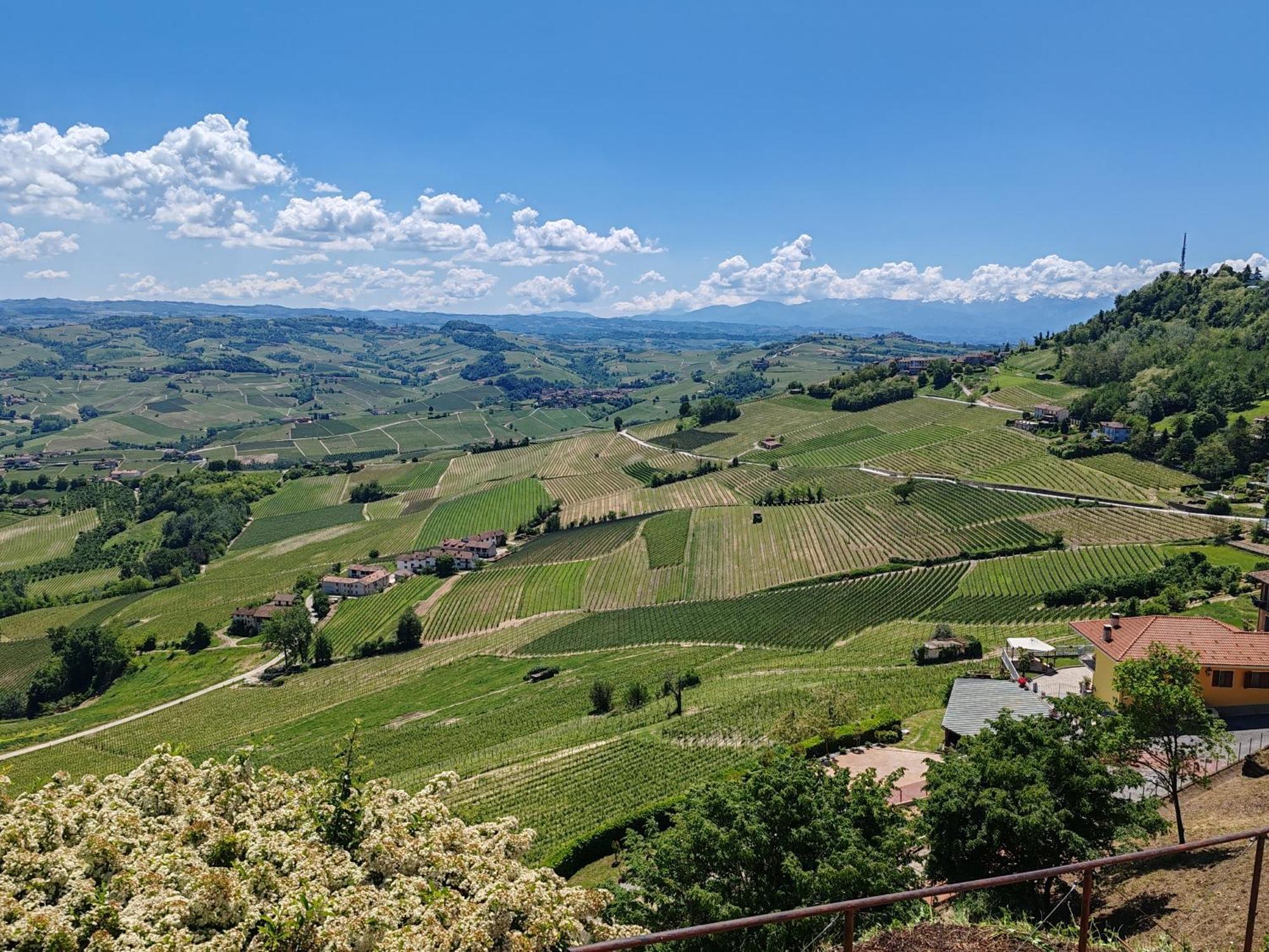 Tour In Langhe Apartamento La Morra Exterior foto
